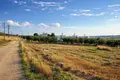 Parcelas 5 698 m² Kassandrino, Grecia