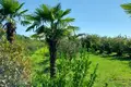 Atterrir 11 025 m² Anaklia, Géorgie