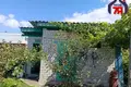 Дом 58 м² Лебедевский сельский Совет, Беларусь
