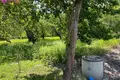 Land  Plukiai, Lithuania