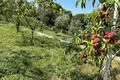 3 bedroom house 208 m² Tomba, Montenegro