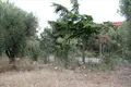 Land 1 room  Polygyros Municipality, Greece