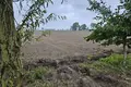 House 825 m² Kokorzyn, Poland