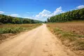 Land 4 500 m² Kassandrino, Greece