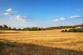 Działki 8 700 m² Kassandrino, Grecja