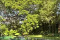 villa de 5 dormitorios 833 m² Choeng Thale, Tailandia