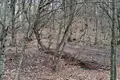 Земельные участки  Тианети, Грузия