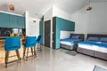 Dom 5 pokojów 310 m² Grad Pazin, Chorwacja