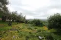 Land 1 room 3 000 m² Municipality of Agios Nikolaos, Greece
