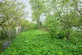 Land  Piarsai, Belarus