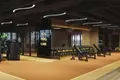 Penthouse 1 bedroom 541 m² Dubai, United Arab Emirates
