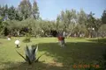 Hotel 150 m² en Nikiti, Grecia