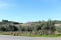 Land 1 room 1 800 m² Perithia, Greece