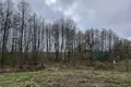 House 73 m² Putcynski sielski Saviet, Belarus