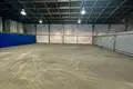 Warehouse 1 room 220 m² in Minsk, Belarus