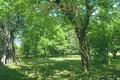 Atterrir  Smolice, Pologne