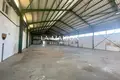 Magazyn 1 600 m² Dali, Cypr