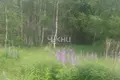 Atterrir 1 300 m² gorodskoj okrug Bor, Russie