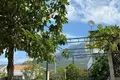 Haus 5 Schlafzimmer 250 m² Dobra Voda, Montenegro
