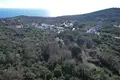 Parcelas  Montenegro, Montenegro