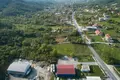 Commercial property  in Montenegro, Montenegro