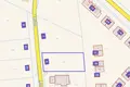 Atterrir 1 076 m² Borowiec, Pologne