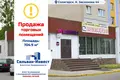 Commercial property 705 m² in Salihorsk, Belarus