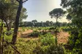 Grundstück  Vejer de la Frontera, Spanien