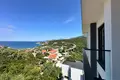 1 bedroom apartment 53 m² Montenegro, Montenegro