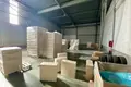 Warehouse 1 room 230 m² in Zdanovicy, Belarus