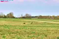 Land  Jauniunai, Lithuania