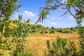 Atterrir 30 000 m² Kassandrino, Grèce