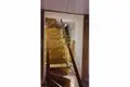 Haus 6 zimmer 277 m² Premuda, Kroatien