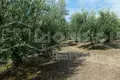 Atterrir 840 m² Psakoudia, Grèce