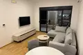Apartment  in Podgorica, Montenegro