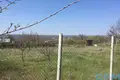 Działki 1 pokój 2 m² Protopopivka, Ukraina