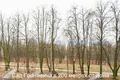 Квартира 2 комнаты 110 м² Минск, Беларусь