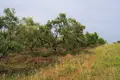 Land 1 room  Nikiti, Greece