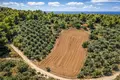 Atterrir 8 000 m² Megali Panagia, Grèce