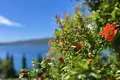 5 bedroom house  Herceg Novi, Montenegro