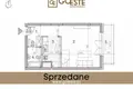 1 room apartment  Smolice, Poland