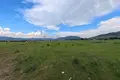 Land , Georgia