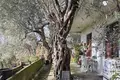2 room house 82 m² Bar, Montenegro