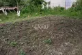 Atterrir 600 m² Bor, Russie