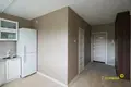 Apartment 44 m² Minsk, Belarus