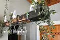 Willa 3 pokoi 248 m² Grad Rovinj, Chorwacja