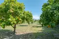 7 bedroom house 319 m² Malaga, Spain