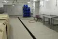 Produktion 560 m² Carnicki, Belarus