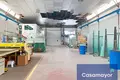 Warehouse 1 008 m² in Alicante, Spain