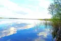 House 50 m² Zamoscie, Belarus